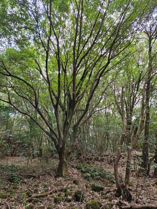 제주 지안이네농장님의 자유주제 · 자유게시판 작성글 사진