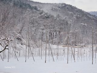 손윤영/수채화농원님의 자유주제 · 자유게시판 작성글 사진