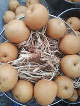 팜모닝 · 게시글 이미지