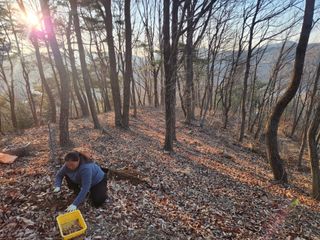 산약초농원님의 자유주제 · 자유게시판 작성글 사진