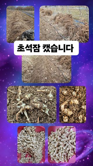 손윤영/수채화농원님의 자유주제 · 자유게시판 작성글 사진