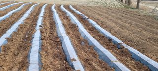 한성님의 자유주제 · 자유게시판 작성글 사진