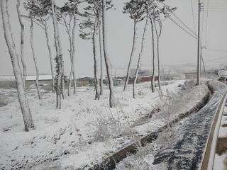 이현상님의 자유주제 · 자유게시판 작성글 사진
