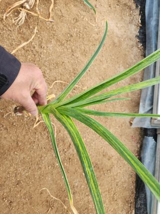 아침못자연농원님의 자유주제 · 자유게시판 작성글 사진