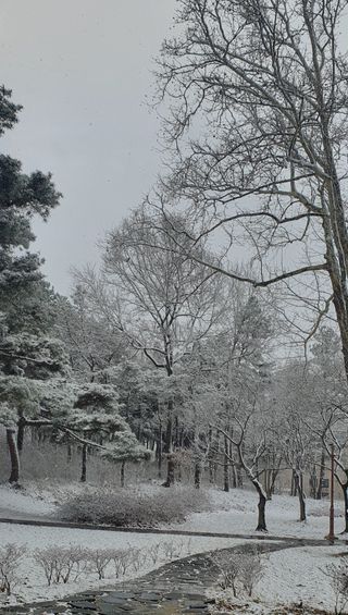한밭농원님의 자유주제 · 자유게시판 작성글 사진