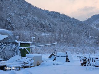 손윤영/수채화농원님의 자유주제 · 자유게시판 작성글 사진
