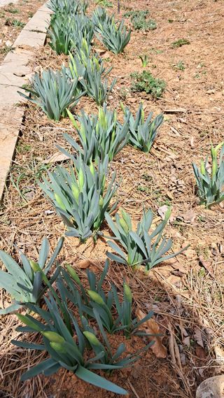 bpjh9173님의 자유주제 · 자유게시판 작성글 사진