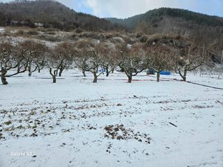 손윤영/수채화농원님의 자유주제 · 자유게시판 작성글 사진