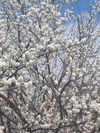 차재경님의 자유주제 · 자유게시판 작성글 사진
