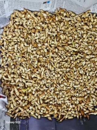 손윤영/수채화농원님의 자유주제 · 자유게시판 작성글 사진