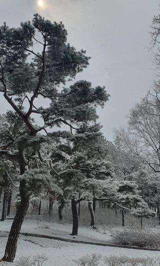 한밭농원님의 자유주제 · 자유게시판 작성글 사진