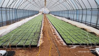 정권옥님의 자유주제 · 자유게시판 작성글 사진