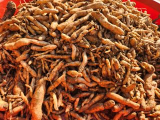 산약초농원님의 자유주제 · 자유게시판 작성글 사진