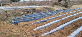 한성님의 자유주제 · 자유게시판 작성글 사진