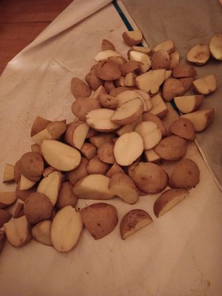 농사정보배우고싶어요님의 자유주제 · 자유게시판 작성글 사진