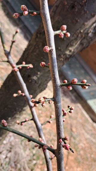 bpjh9173님의 자유주제 · 자유게시판 작성글 사진