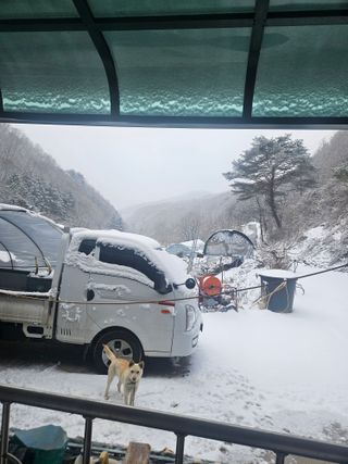 왕자농원님의 자유주제 · 자유게시판 작성글 사진