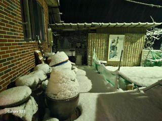 손윤영/수채화농원님의 자유주제 · 자유게시판 작성글 사진