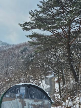 왕자농원님의 자유주제 · 자유게시판 작성글 사진