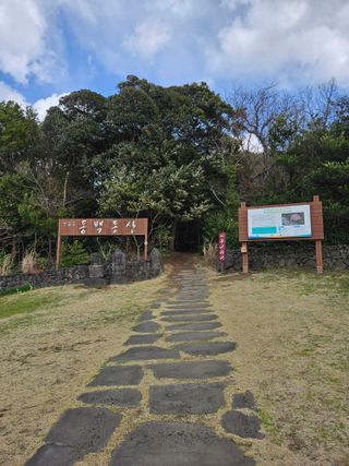 제주 지안이네농장님의 자유주제 · 자유게시판 작성글 사진