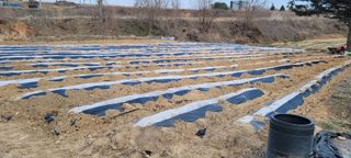 한성님의 자유주제 · 자유게시판 작성글 사진