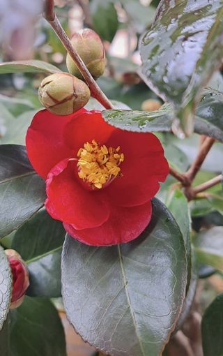 한밭농원님의 자유주제 · 자유게시판 작성글 사진