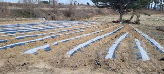 한성님의 자유주제 · 자유게시판 작성글 사진