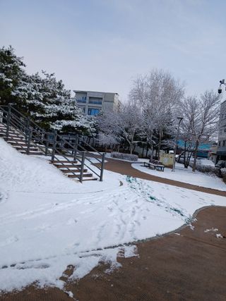 강지현님의 자유주제 · 자유게시판 작성글 사진