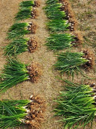 자두20651님의 작성글 사진