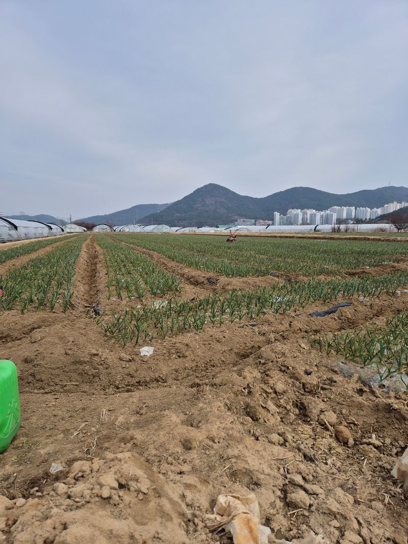 도승갈비님의 장터 판매 상품 [불스휴립피복기 ] 첨부 사진