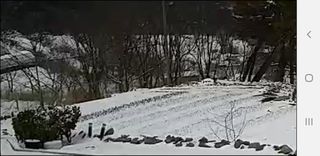 김채현 님의 자유주제 · 자유게시판 작성글 사진