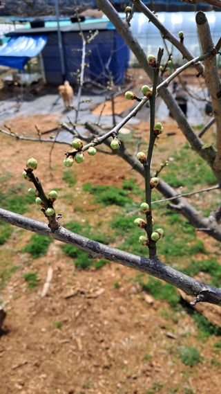 bpjh9173님의 자유주제 · 자유게시판 작성글 사진