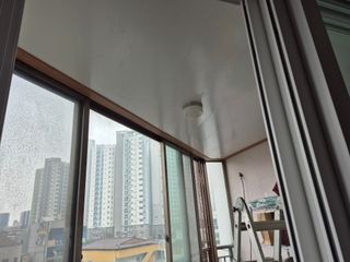 허굴산농장님의 자유주제 · 자유게시판 작성글 사진