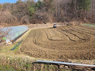 박천규 님의 고추 모종 심으셨나요? · 참여글 작성글 사진