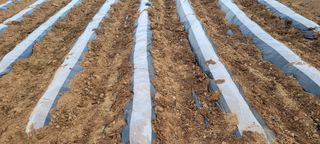 한성님의 자유주제 · 자유게시판 작성글 사진