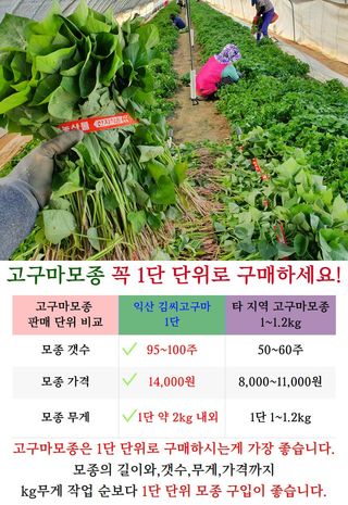 김동수님의 자유주제 · 자유게시판 작성글 사진