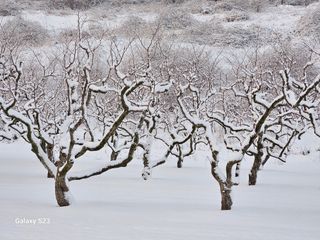 손윤영/수채화농원님의 자유주제 · 자유게시판 작성글 사진