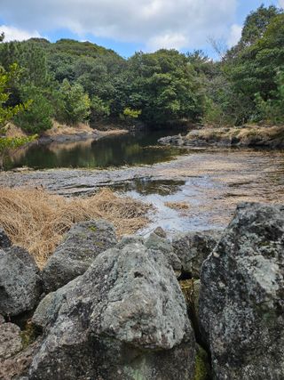 제주 지안이네농장님의 자유주제 · 자유게시판 작성글 사진