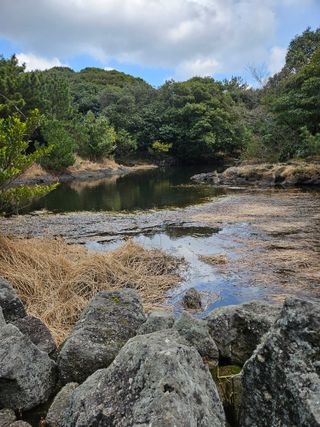 제주 지안이네농장님의 자유주제 · 자유게시판 작성글 사진