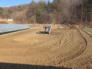 박천규 님의 고추 모종 심으셨나요? · 참여글 작성글 사진