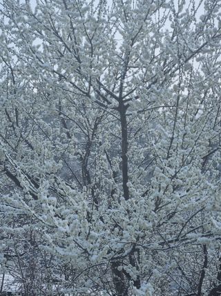 차재경님의 자유주제 · 자유게시판 작성글 사진