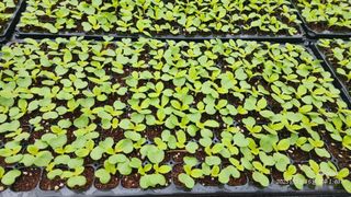 정권옥님의 자유주제 · 자유게시판 작성글 사진