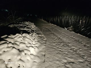 손윤영/수채화농원님의 자유주제 · 자유게시판 작성글 사진