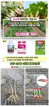 팜모닝 자유주제·자유게시판 게시글 이미지