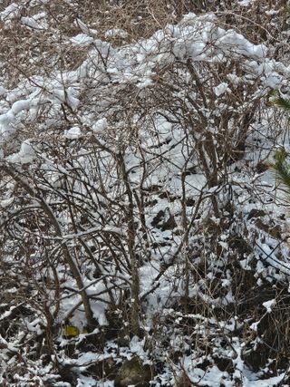 왕자농원님의 자유주제 · 자유게시판 작성글 사진