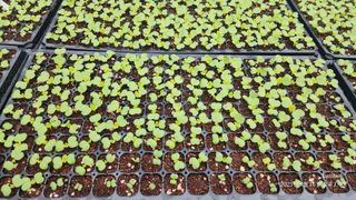 정권옥님의 자유주제 · 자유게시판 작성글 사진