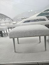 팜모닝 자유주제·자유게시판 게시글 이미지