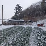 팜모닝 자유주제·자유게시판 게시글 이미지