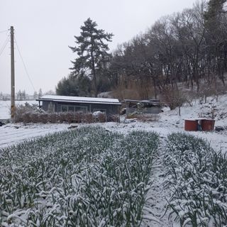이장우님의 자유주제 · 자유게시판 작성글 사진