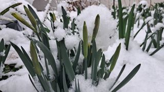 금동이네님의 자유주제 · 자유게시판 작성글 사진